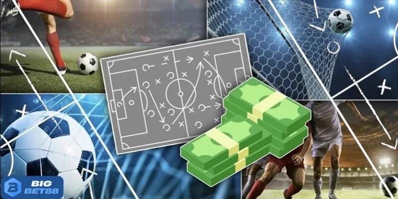 3 kinh nghiệm đặt đâu trúng đó cho newbie