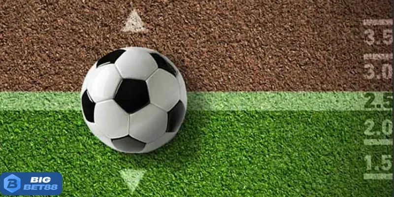 cuoc bong da bigbet88