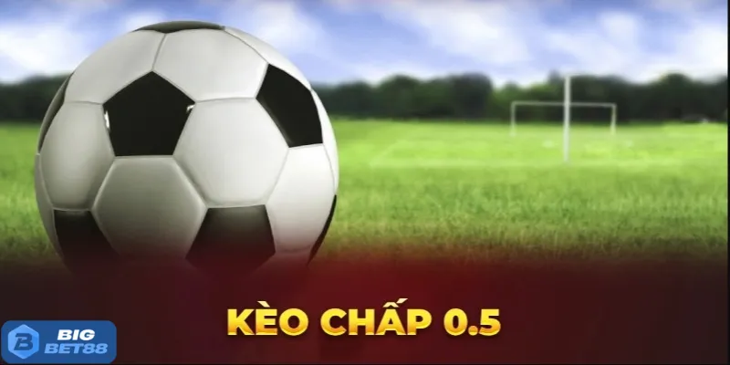kèo chấp 0.5 Bigbet88
