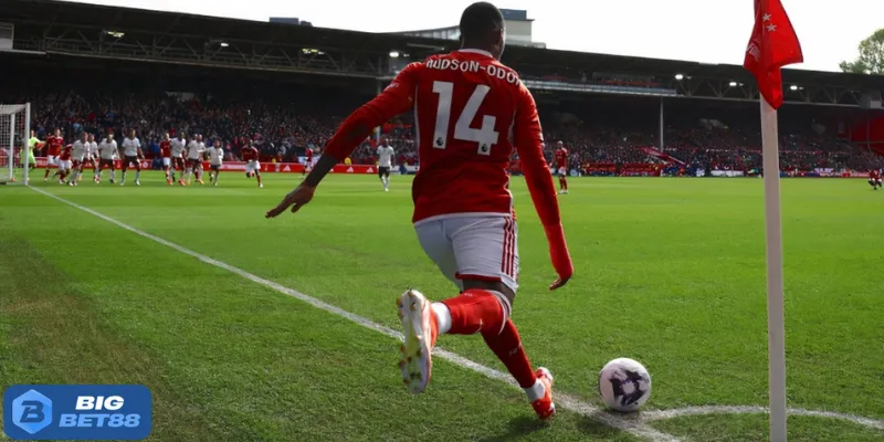 keo phat goc bigbet88