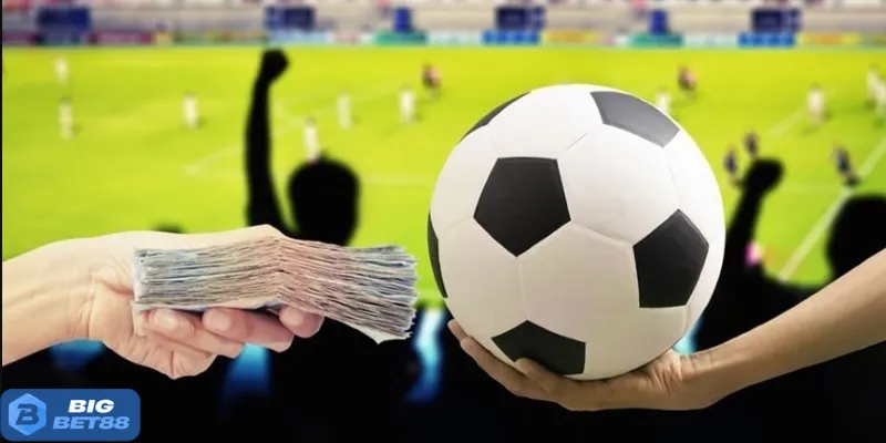 Lý do nên đánh Running Ball tại sân chơi