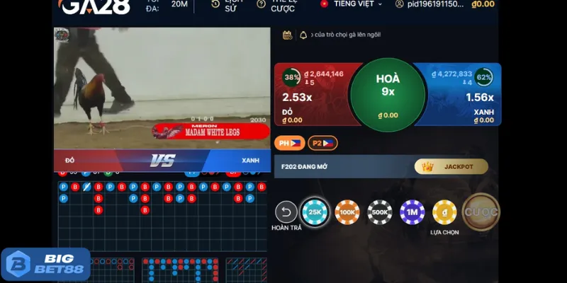 Thuật ngữ đá gà về hạng mục đầu tư Bigbet88