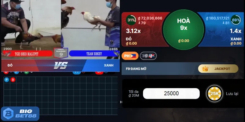 3 cửa đặt vốn chính cho anh em lựa chọn