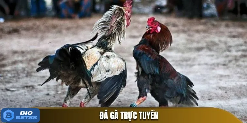 da ga online bigbet88