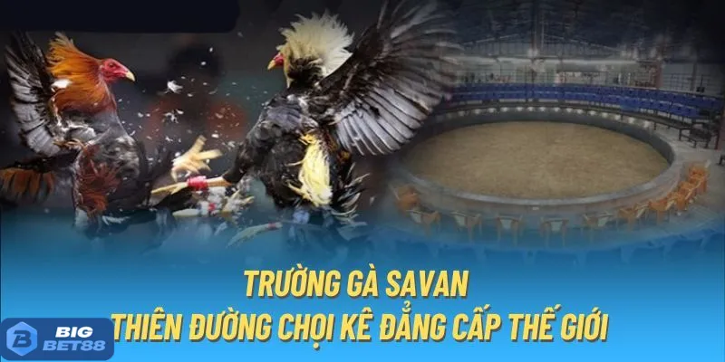 da ga savan bigbet88