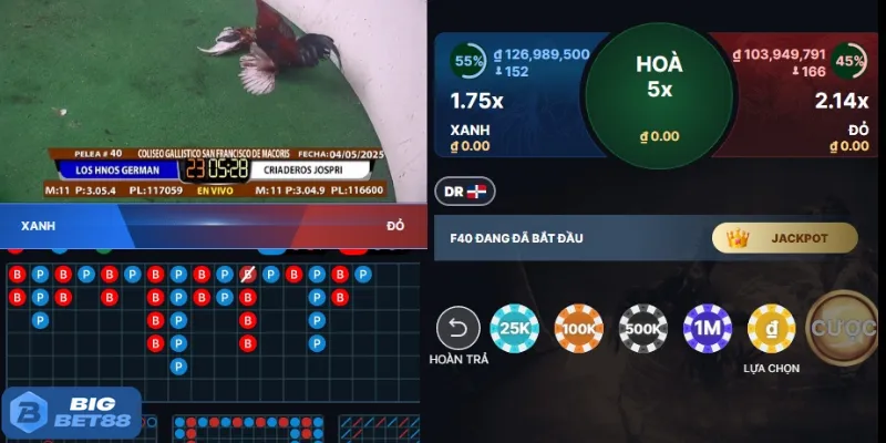 Đôi nét chi tiết về lịch đá gà Bigbet88