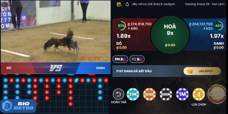 Quy định về cách tính thắng thua tại Bigbet88