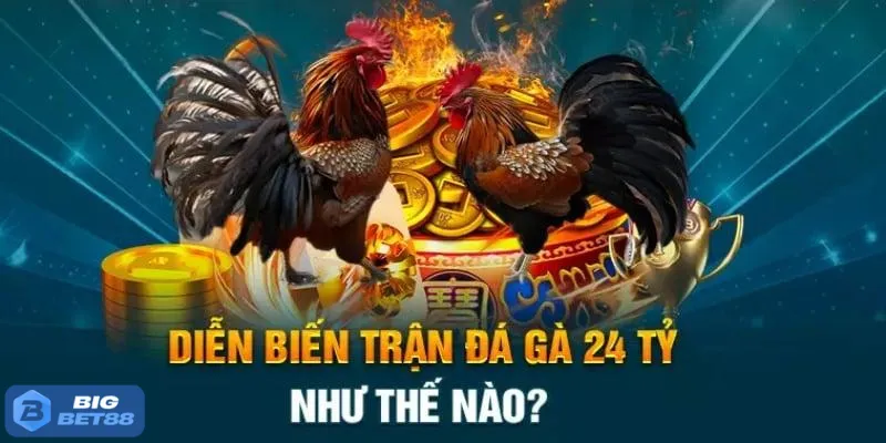 Thời gian trận đấu diễn ra
